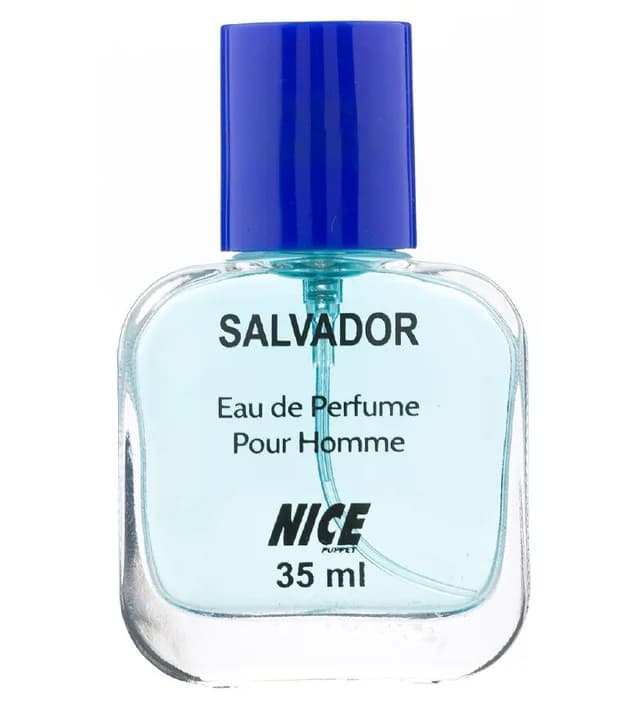 عطر جیبی مردانه Salvador حجم ۳۵میل نایس پاپت