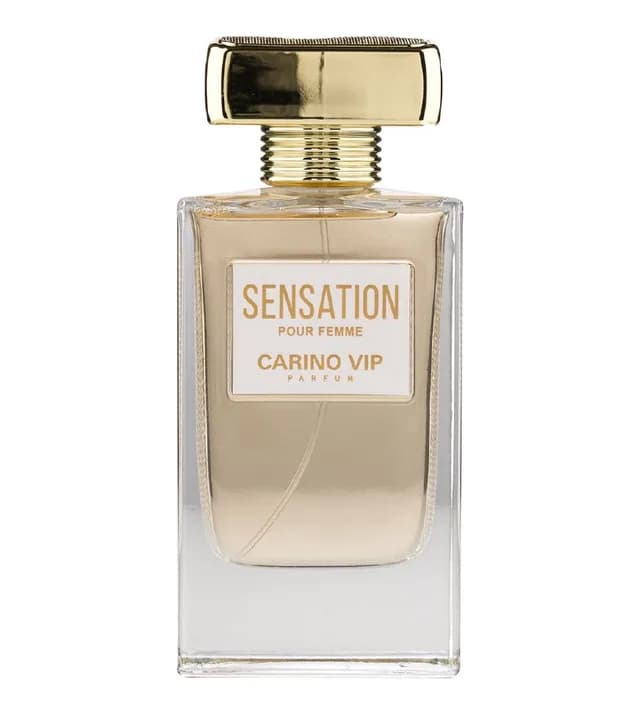ادوپرفیوم مردانه مدل Sensation حجم ۱۰۰ میلی لیتر کارینو وی آی پی