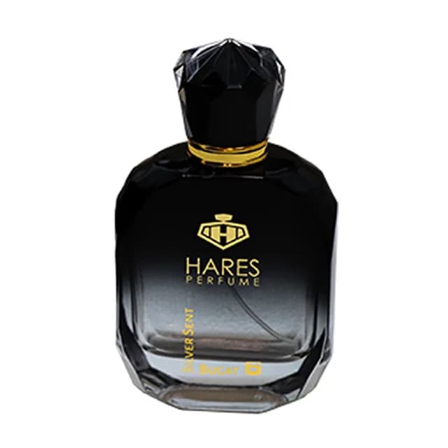ادوپرفیوم مردانه مدل Silver Scent حجم ۱۰۰ میلی لیتر حارث