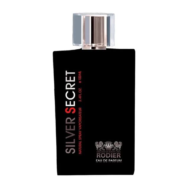 ادوپرفیوم مردانه مدل Silver Secret حجم ۱۰۰ میلی لیتر رودیر