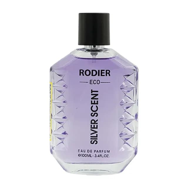 ادکلن مردانه مدل Silver Scent حجم ۱۰۰ میلی لیتر رودیر اکو